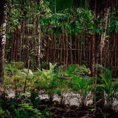 Отель Lunita Jungle Experience Пуэрто-Морелос Экстерьер фото