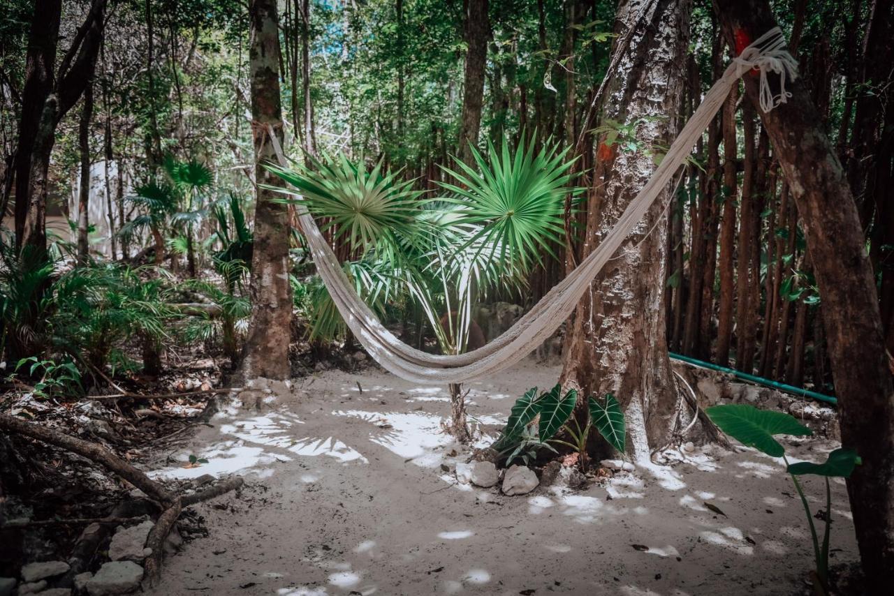 Отель Lunita Jungle Experience Пуэрто-Морелос Экстерьер фото