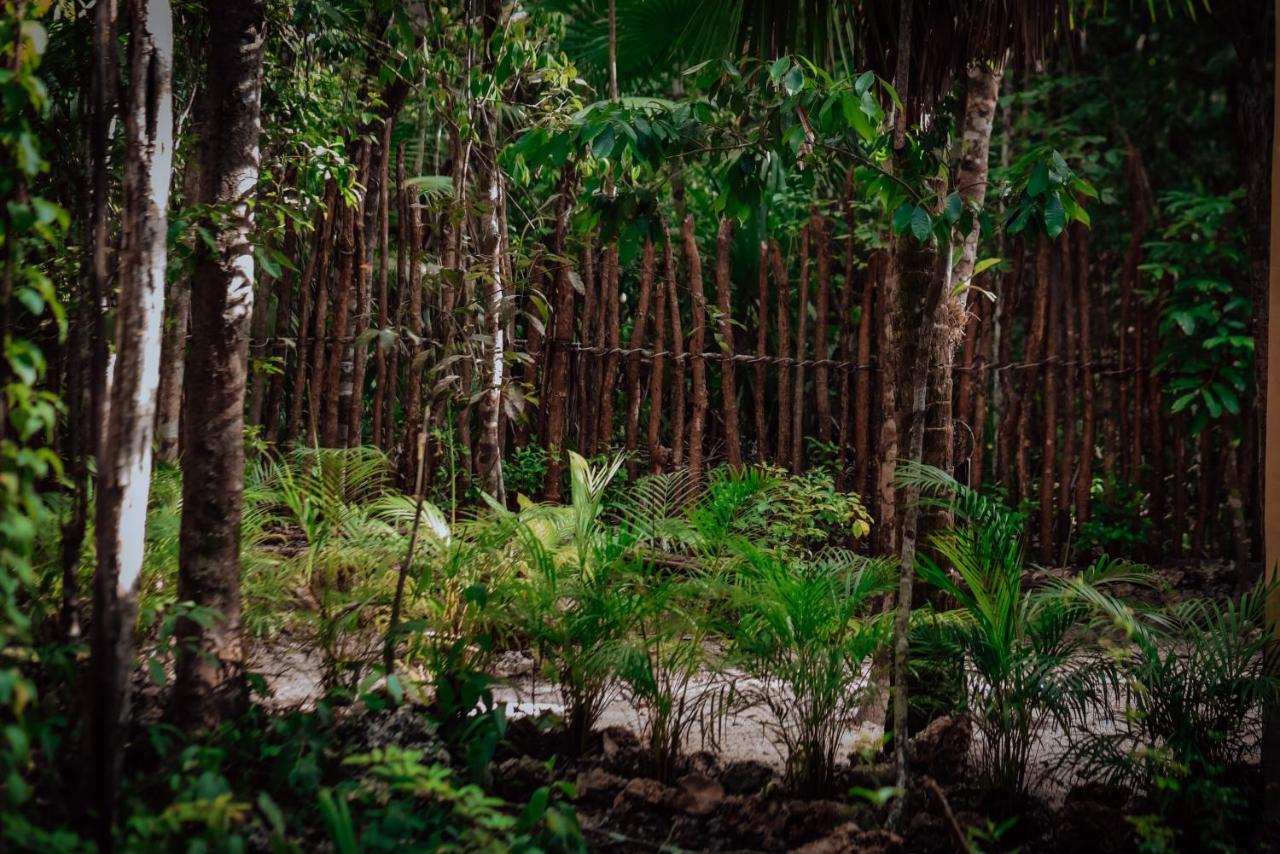 Отель Lunita Jungle Experience Пуэрто-Морелос Экстерьер фото