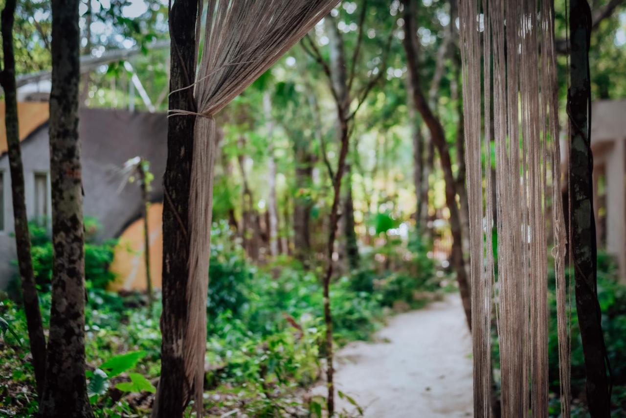 Отель Lunita Jungle Experience Пуэрто-Морелос Экстерьер фото