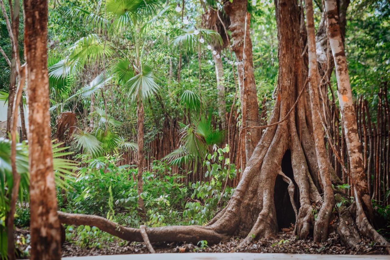 Отель Lunita Jungle Experience Пуэрто-Морелос Экстерьер фото