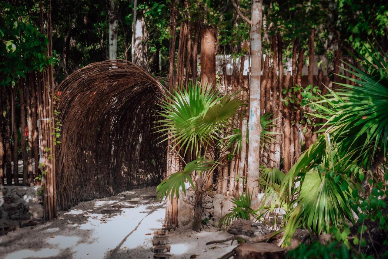 Отель Lunita Jungle Experience Пуэрто-Морелос Экстерьер фото