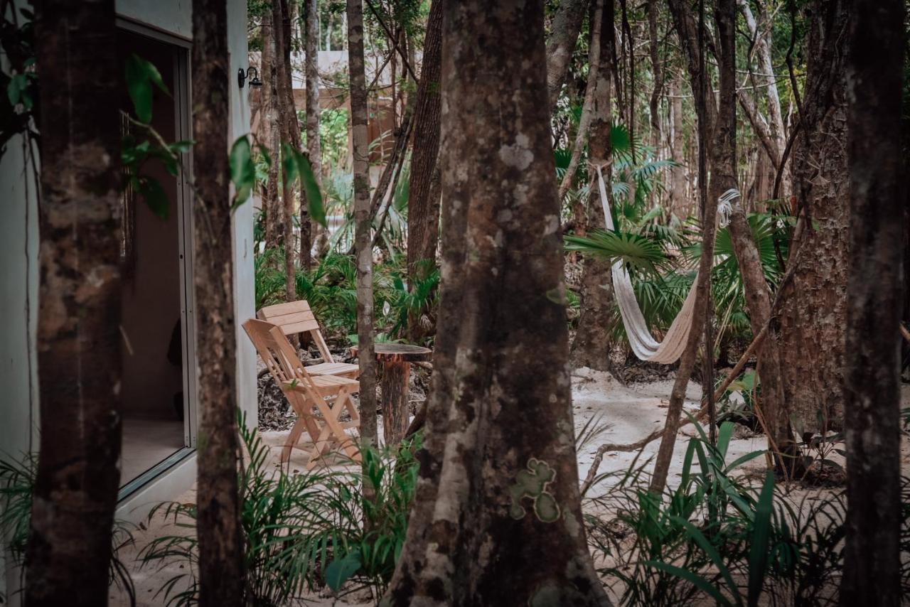 Отель Lunita Jungle Experience Пуэрто-Морелос Экстерьер фото